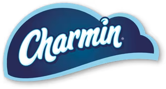 Enjoy The Go With Best Toilet Paper Rolls ...