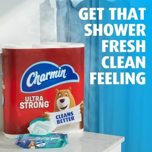 Charmin Flushable Wipes. 480 Total Wipes (12 Packs of 40)