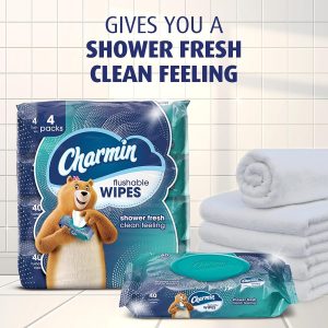Charmin Flushable Wipes. 480 Total Wipes (12 Packs of 40)