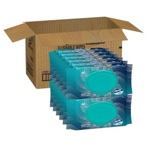 Charmin Flushable Wipes. 480 Total Wipes (12 Packs of 40)