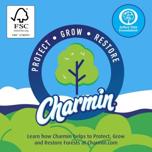 Charmin Toilet Paper Ultra Strong Clean Touch. 18 Family Mega XL Rolls