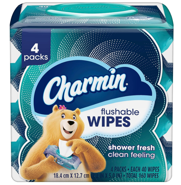 Charmin Flushable Wipes. 480 Total Wipes (12 Packs of 40)